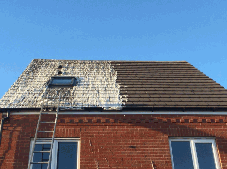 Biocide Roof Cleaning