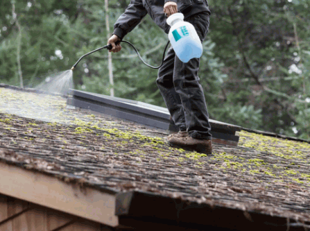 Chemical Treatments of moss in roof