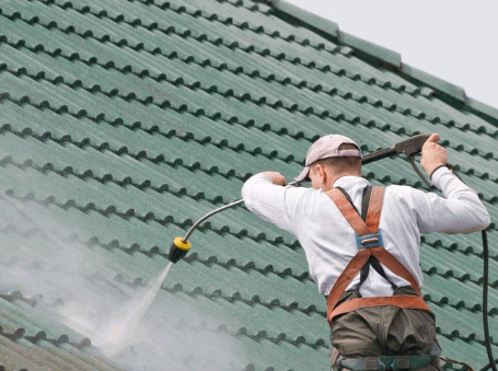 DOFF Cleaning the roof