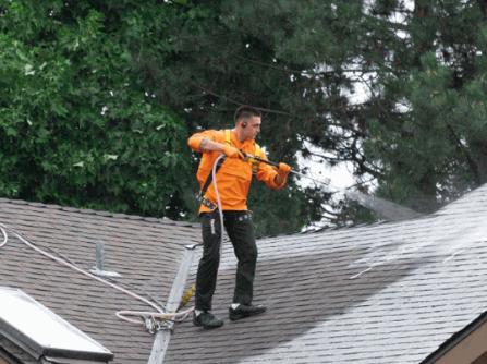 Soft Washing of moss in roof