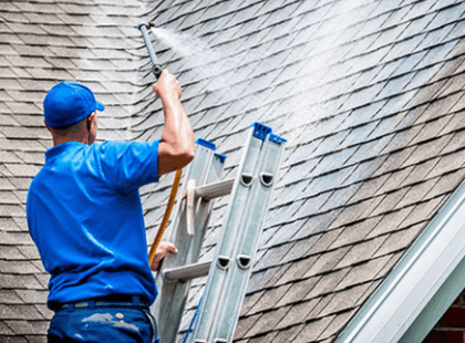 Soft Washing the roof