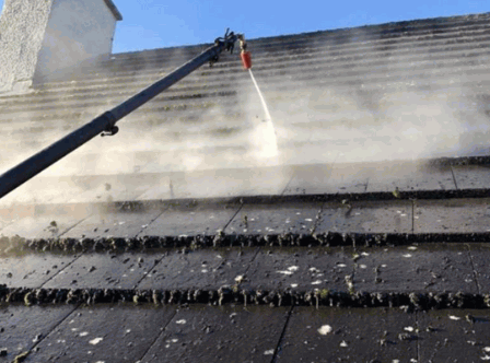 Steam Cleaning of moss in roof