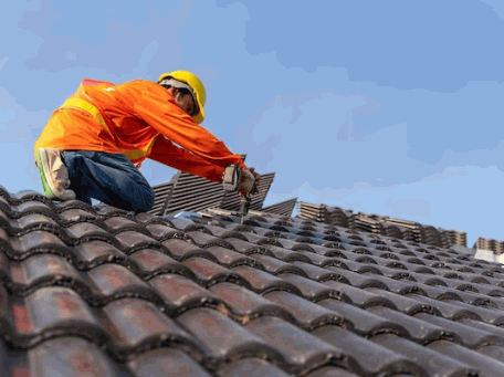 The Roof Structure